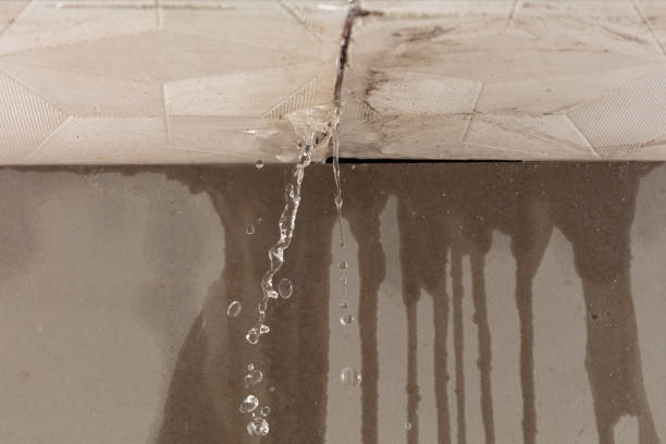 Professional Structural Drying technician working in Century, FL